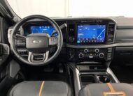 2024 Ford Super Duty F-250 SRW Platinum