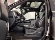 2024 Ford Super Duty F-250 SRW Platinum