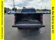 2011 Ford F-150 FX4