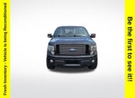 2011 Ford F-150 FX4